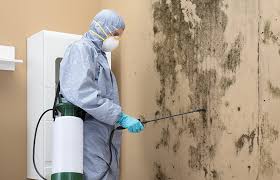 Reliable Capitol Heights, MD Mold Remediation Solutions